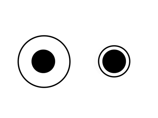 Delboeufillusion Delboeufillusion