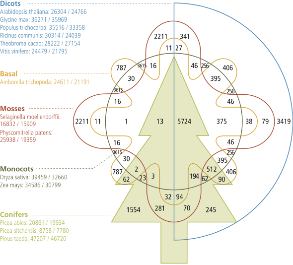 Genome_5