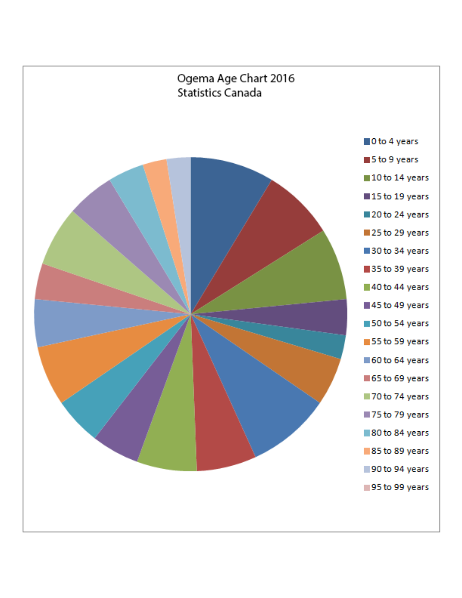 Ogema_Stats_canada_pie_chart