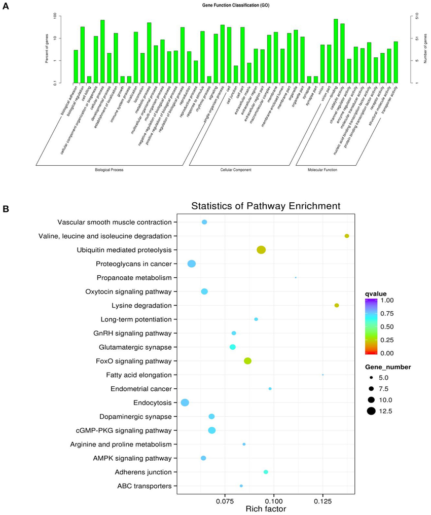 GO-and-KEGG-diagrams-A-Forty-nine-different-GO-term-annotations-of-the-parental-genes