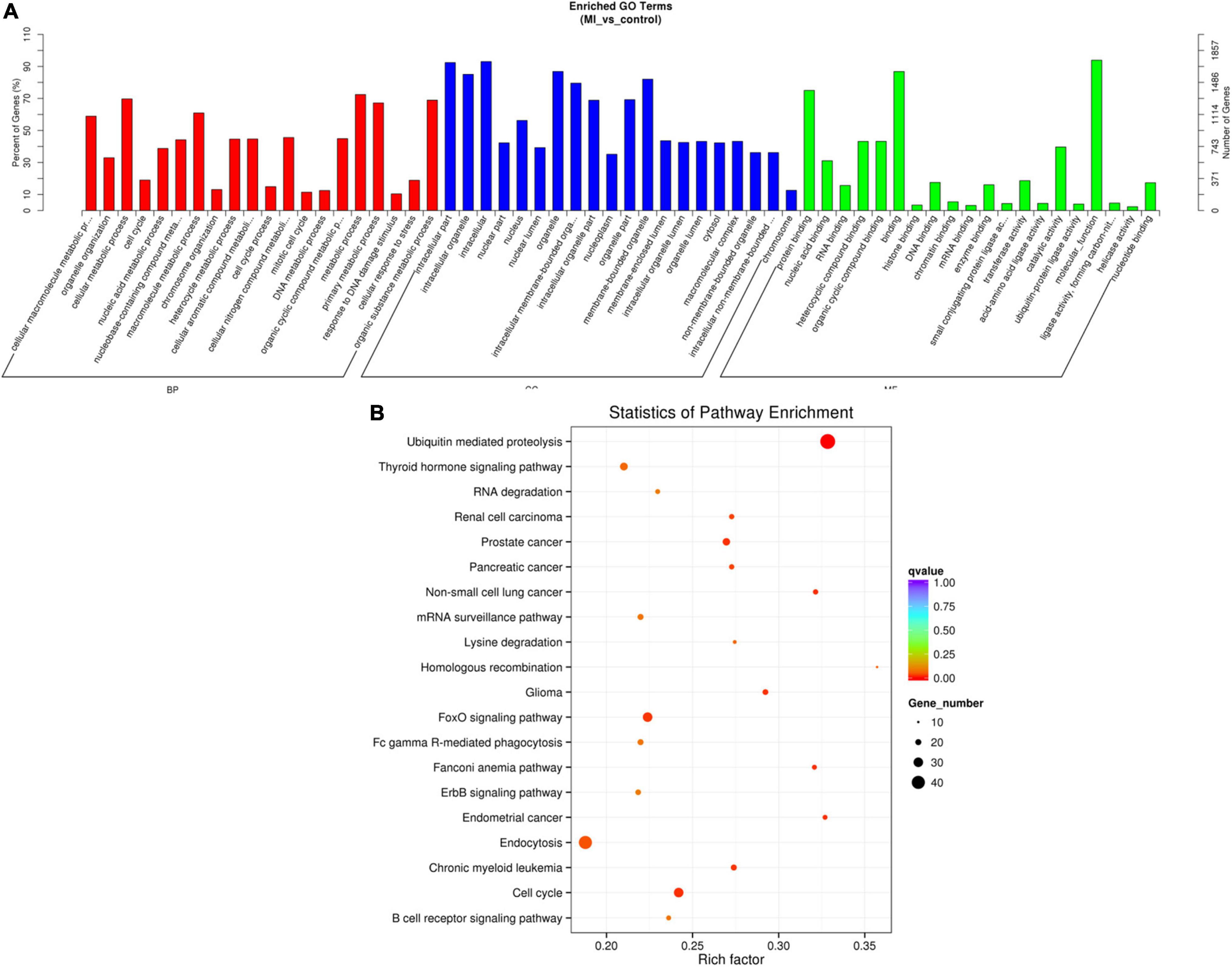 Fcvm-09-810257-g006-3-colors