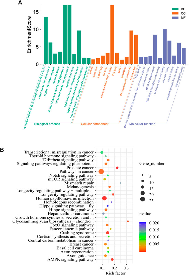 Fcell-09-755670-g004-coloredlabels