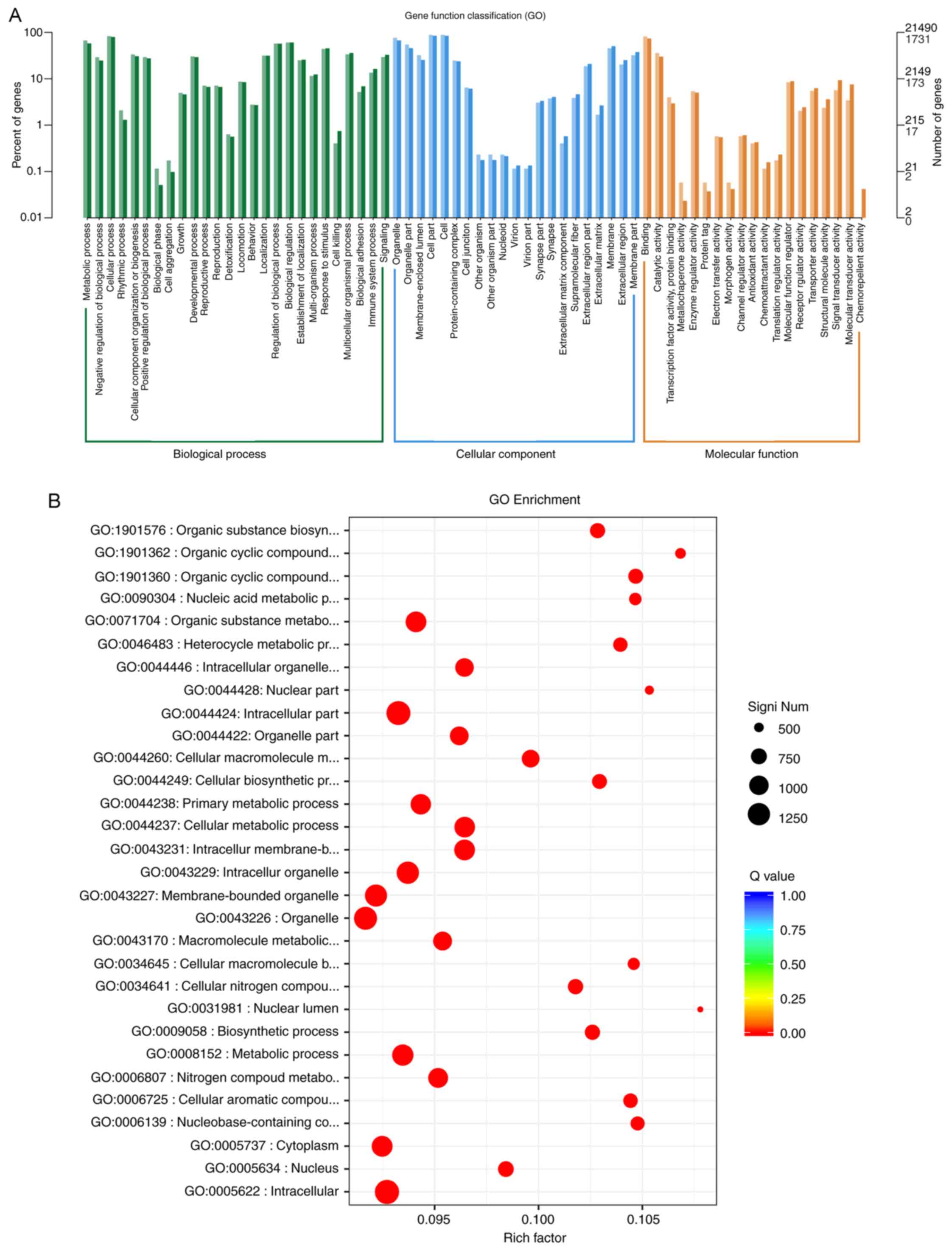 OR-43-05-1413-g06-vertical